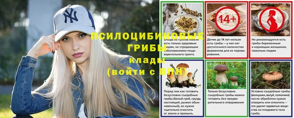 spice Бородино